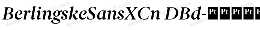BerlingskeSansXCn DBd字体转换